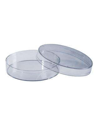 Caja Petri